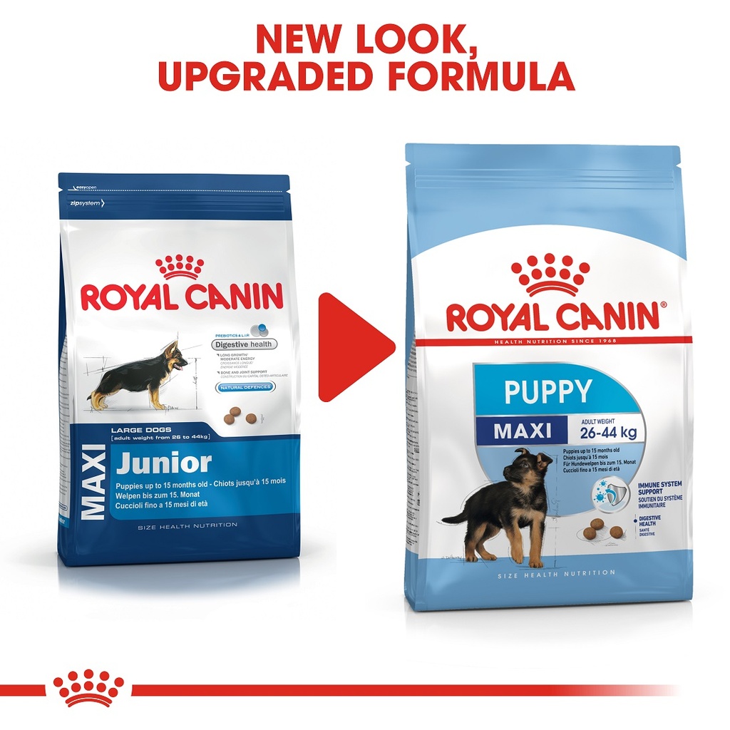 Royal Canin Maxi Puppy (4 KG) Dry food for large dogs Adult weight